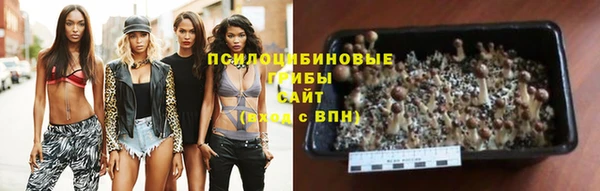 мдпв Инта