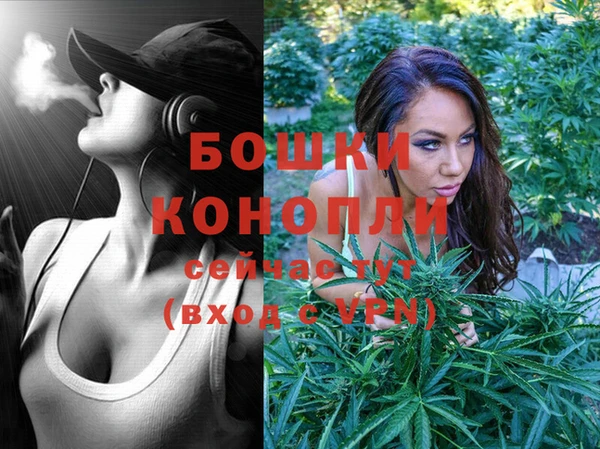 мдпв Инта