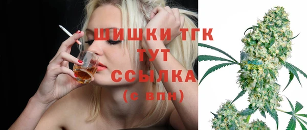 винт Инсар