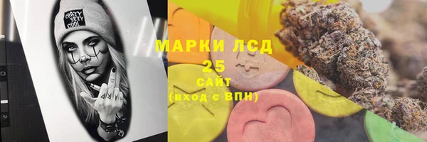 винт Инсар
