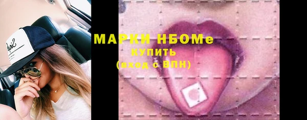 мдпв Инта