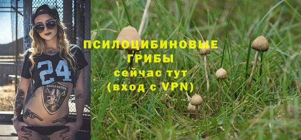 мдпв Инта