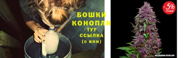 мдпв Инта