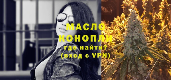 мдпв Инта