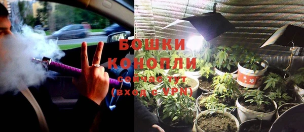 винт Инсар