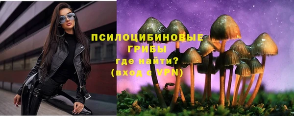 прущая мука Иннополис